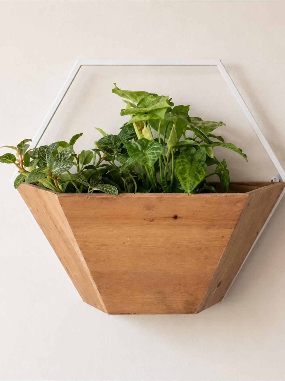 Modern Wood Hanging Wall Planter / Organizer NWT Sleek accent for home or office